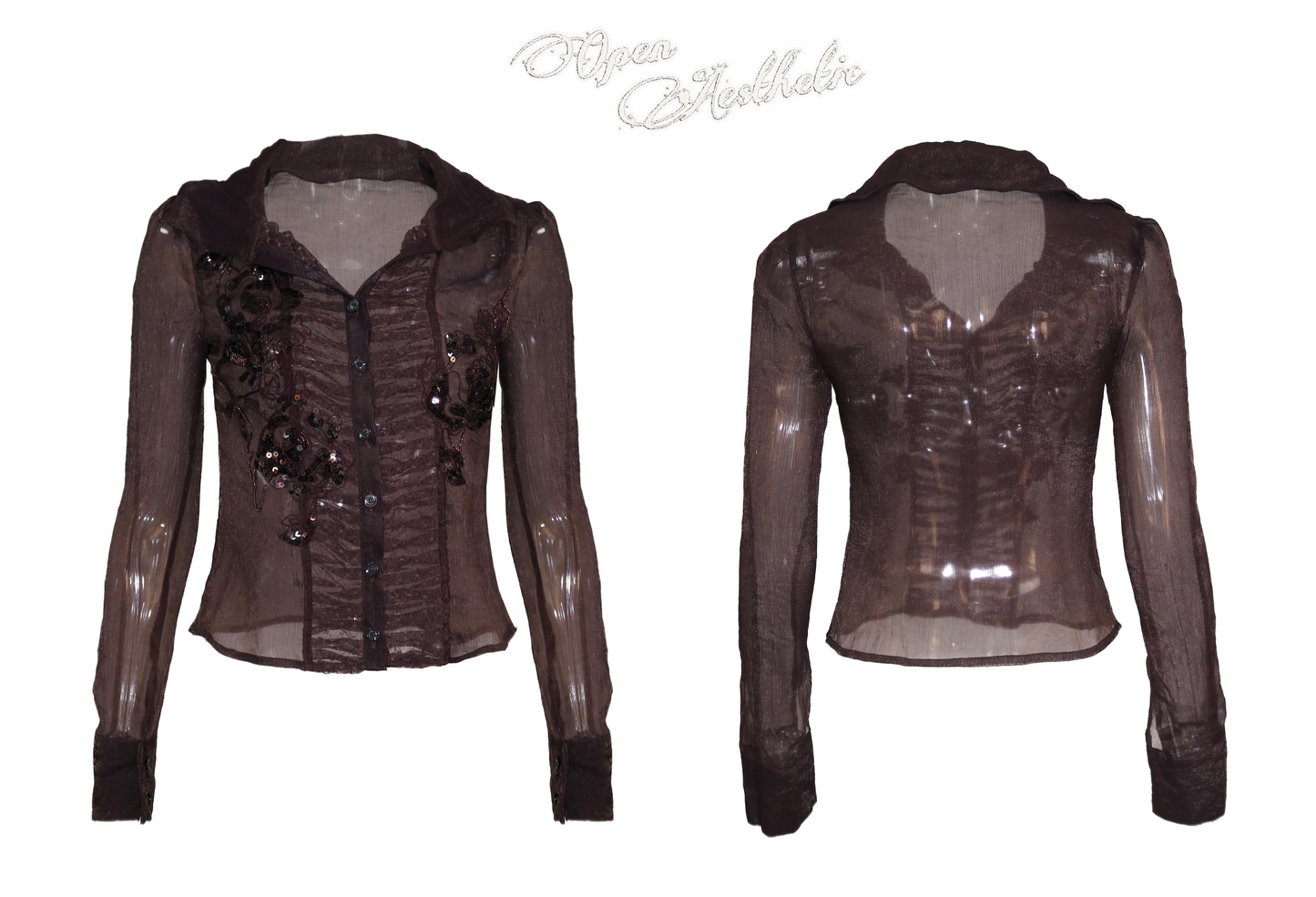 Brown Long-Sleeve Chiffon Blouse with Beaded Embroidery Panels