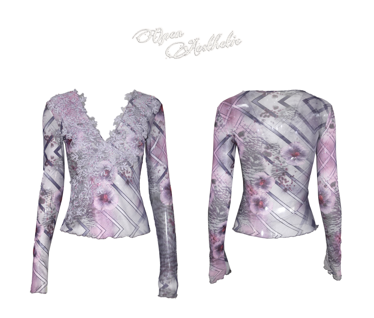 Embroidered Long-Sleeve Mesh Top with Lace-Patterned Print